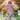 Woman in 1940s Beau Belle dress in Dollshouse Pink posing under blossoming cherry trees