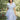 Woman in 1940s white cotton day dress with blue ribbon and red rosebud print posing in garden