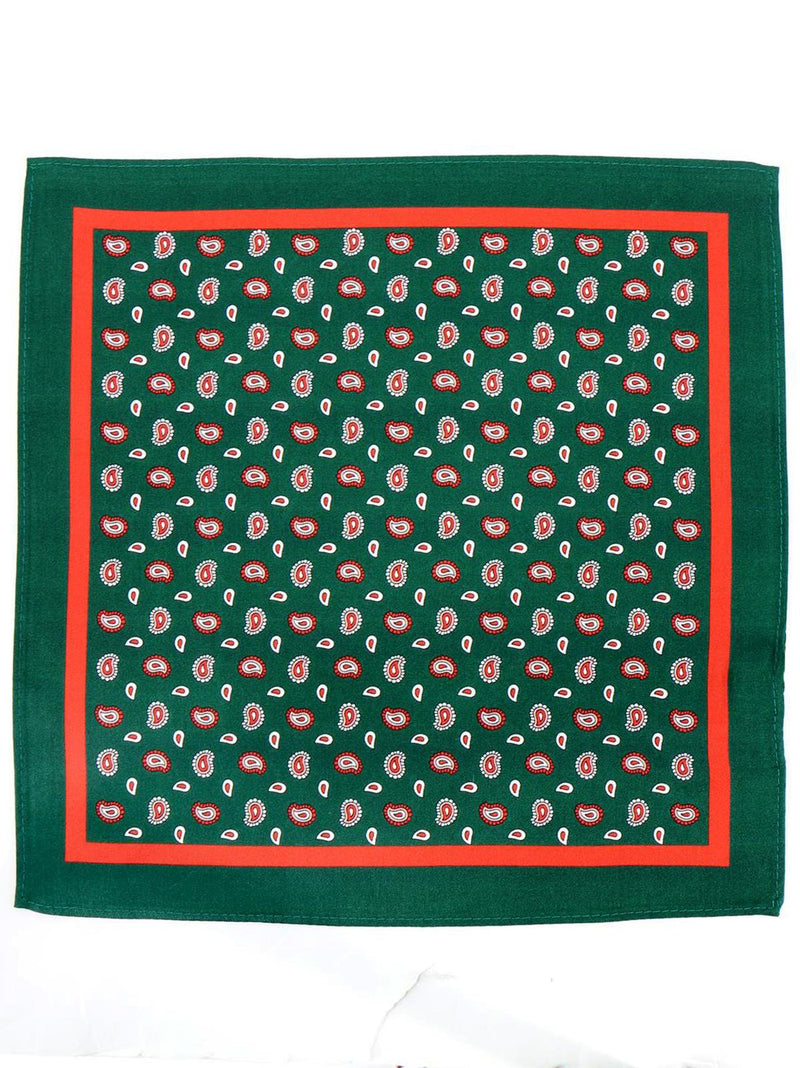 Green Paisley Print Silk Pocket Square