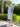 Weekender Midcentury Style Gingham Summer Soft Suit- Curaçao