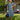 Woman in blue ditsy floral retro tea dress wearing wide brim hat, white gloves, and holding handbag
