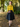 1950s Style Wool Blend Circle Skirt - Multi Check