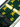 Albert Thurston Green & Gold Teddy Bear Braces