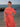 Harmony 1940s Vintage Style Shirtwaist Dress - Palm Springs