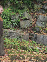 Scottish Wool Fairisle Crewneck Jumper in Turin Brown